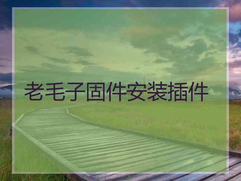 老毛子固件安装插件