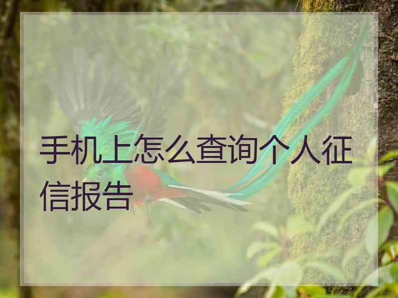 手机上怎么查询个人征信报告