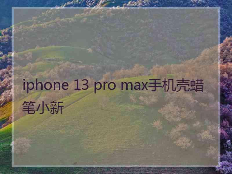 iphone 13 pro max手机壳蜡笔小新