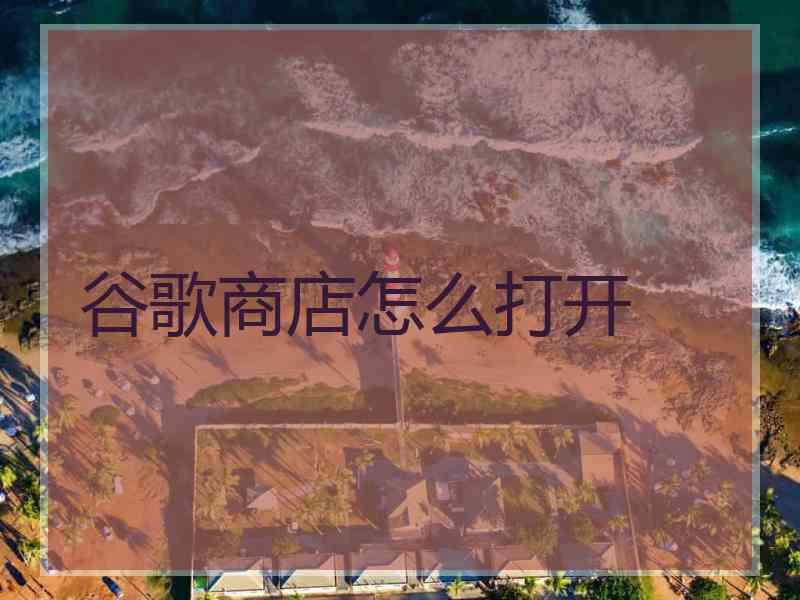 谷歌商店怎么打开