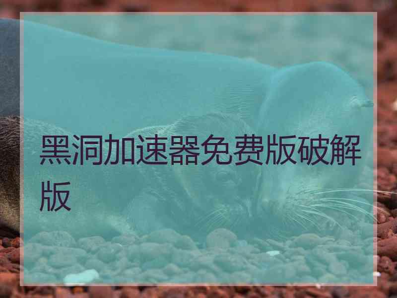 黑洞加速器免费版破解版