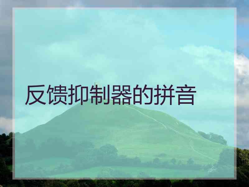 反馈抑制器的拼音