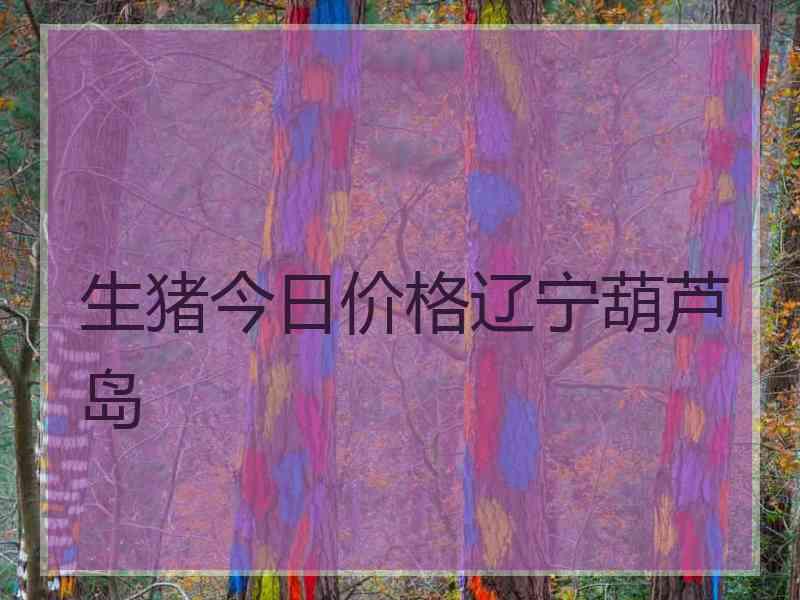 生猪今日价格辽宁葫芦岛