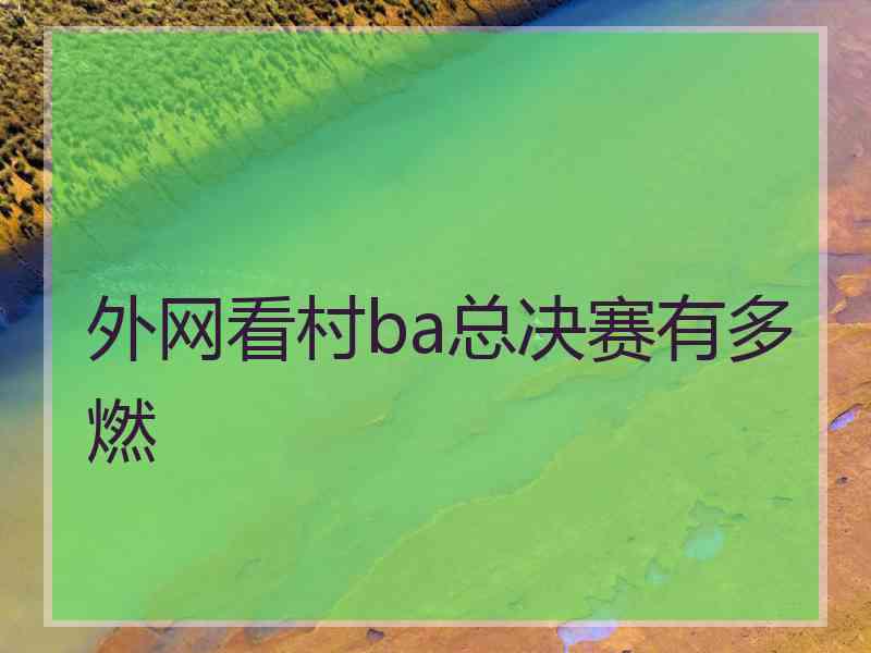 外网看村ba总决赛有多燃