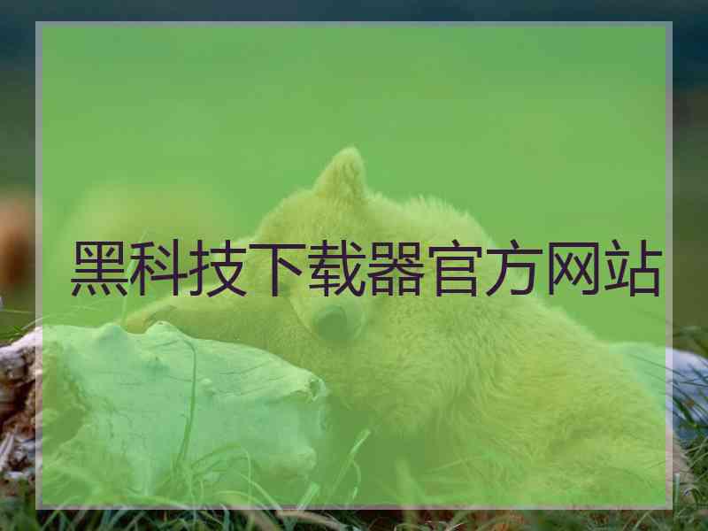 黑科技下载器官方网站