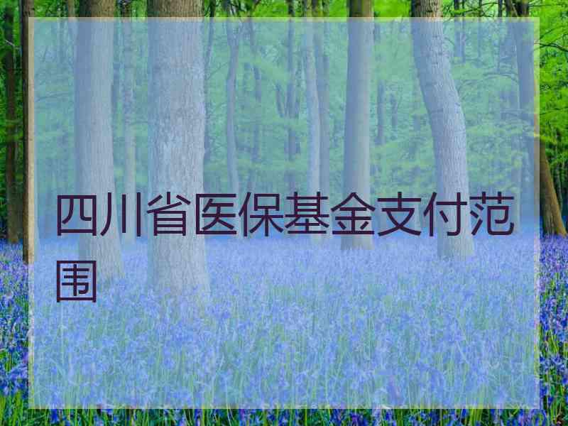 四川省医保基金支付范围