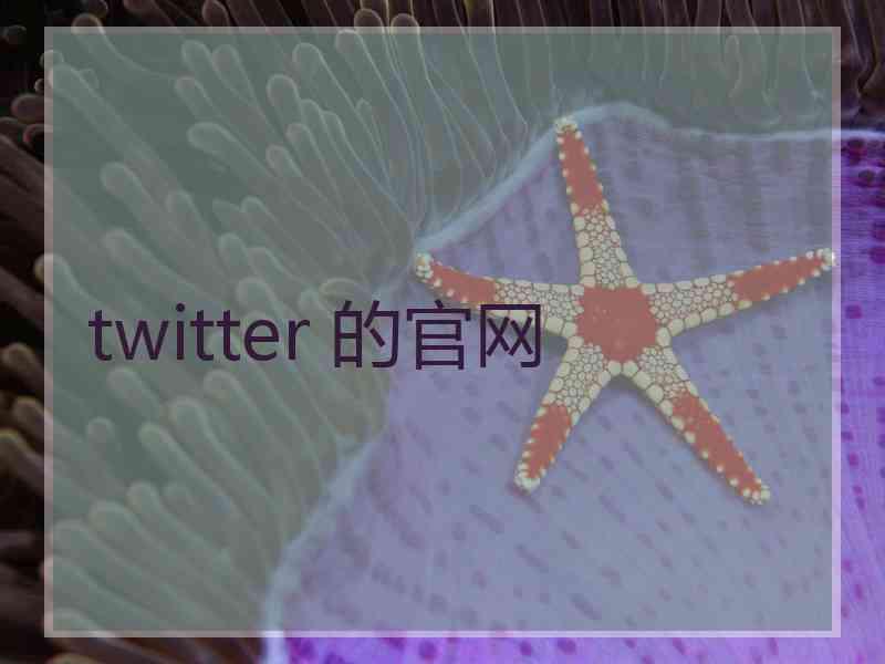 twitter 的官网
