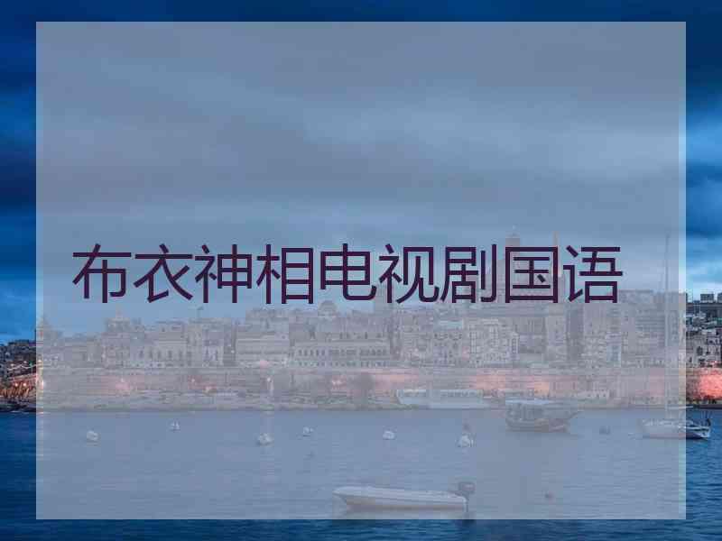 布衣神相电视剧国语