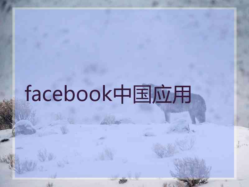 facebook中国应用