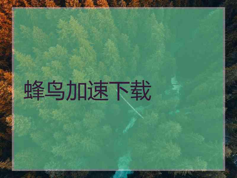 蜂鸟加速下载