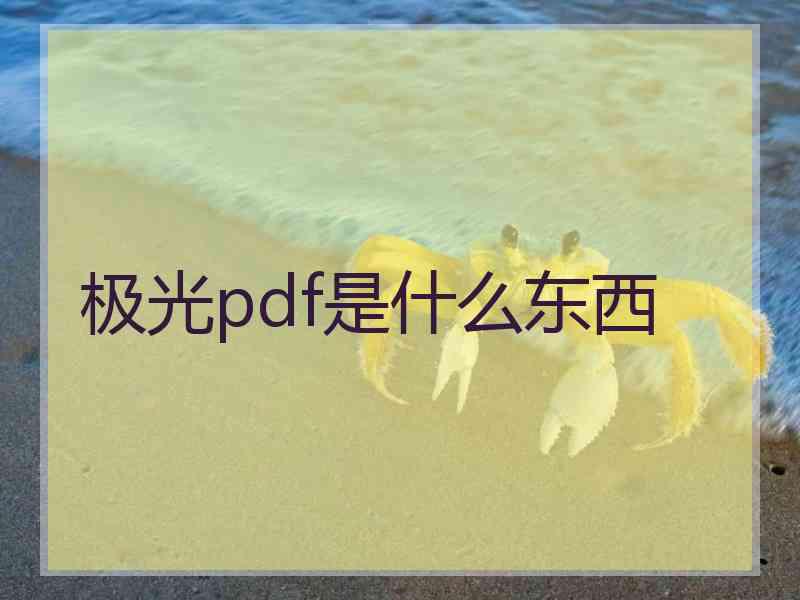 极光pdf是什么东西