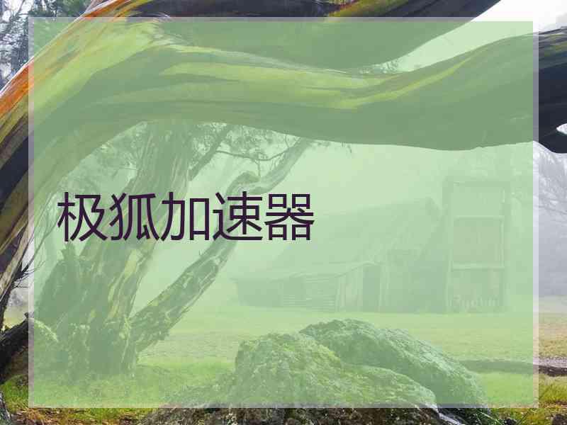 极狐加速器