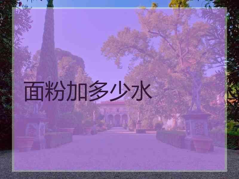 面粉加多少水