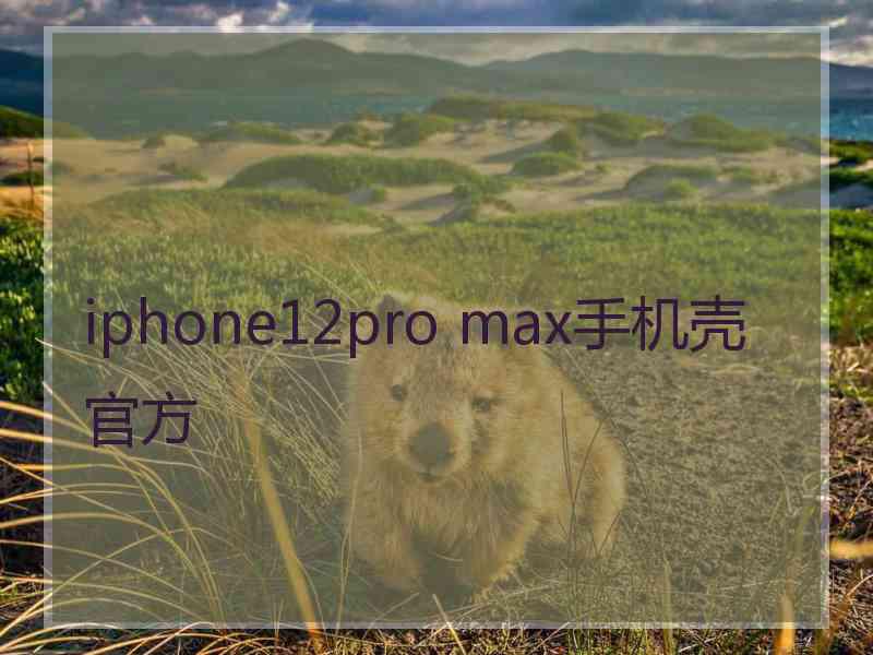 iphone12pro max手机壳官方