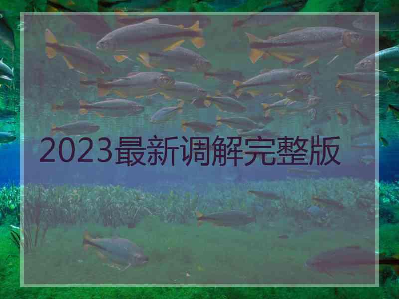 2023最新调解完整版