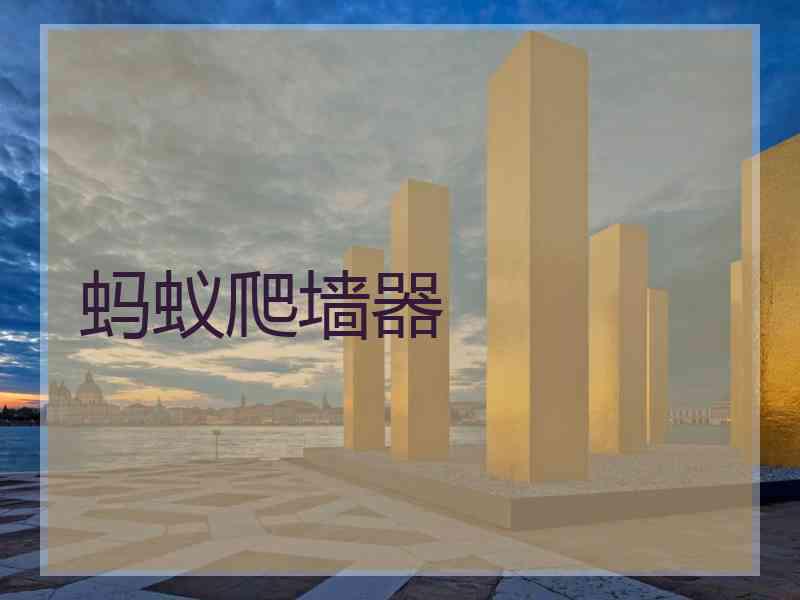 蚂蚁爬墙器