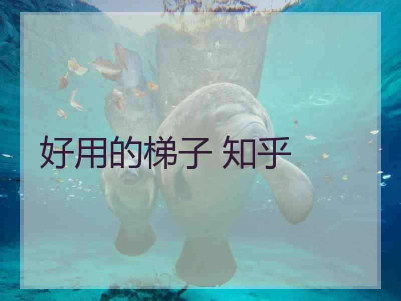好用的梯子 知乎