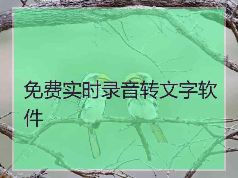 免费实时录音转文字软件