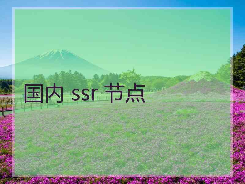 国内 ssr 节点