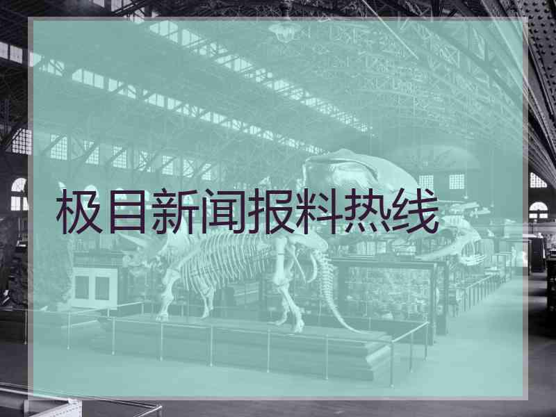 极目新闻报料热线
