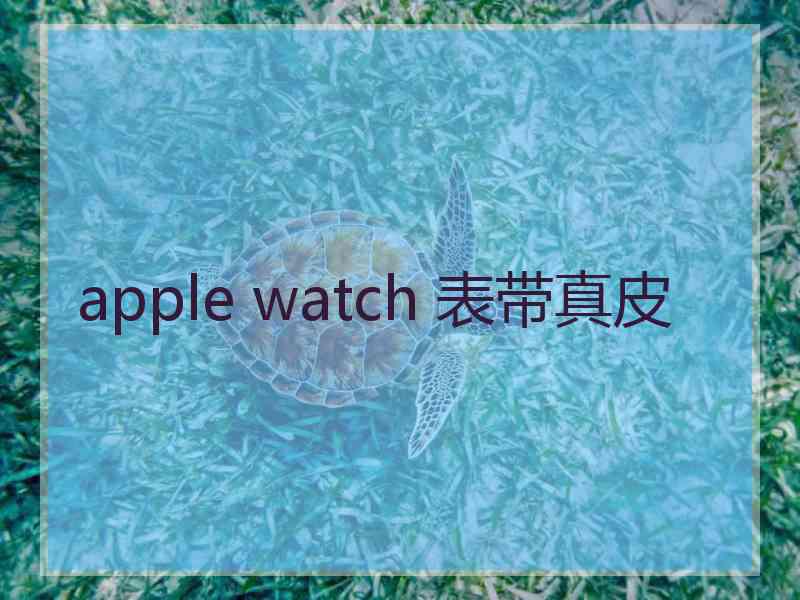 apple watch 表带真皮