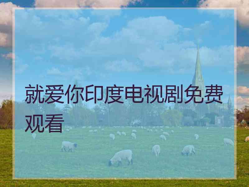 就爱你印度电视剧免费观看