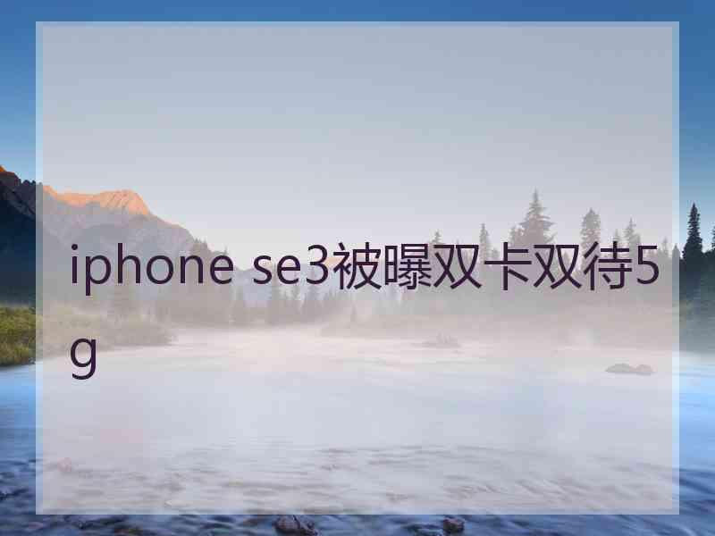 iphone se3被曝双卡双待5g