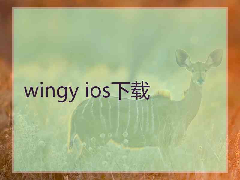 wingy ios下载