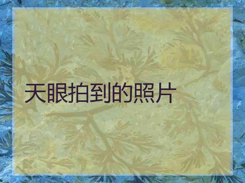 天眼拍到的照片