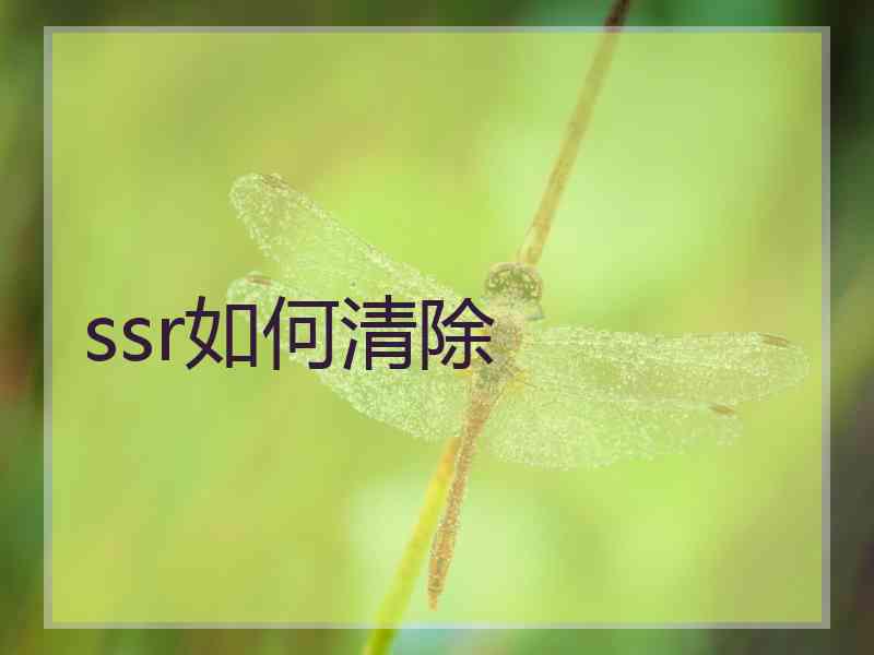 ssr如何清除
