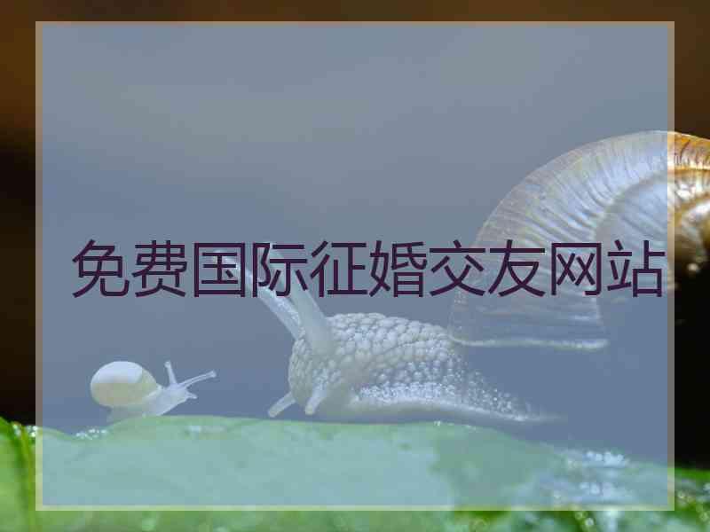 免费国际征婚交友网站