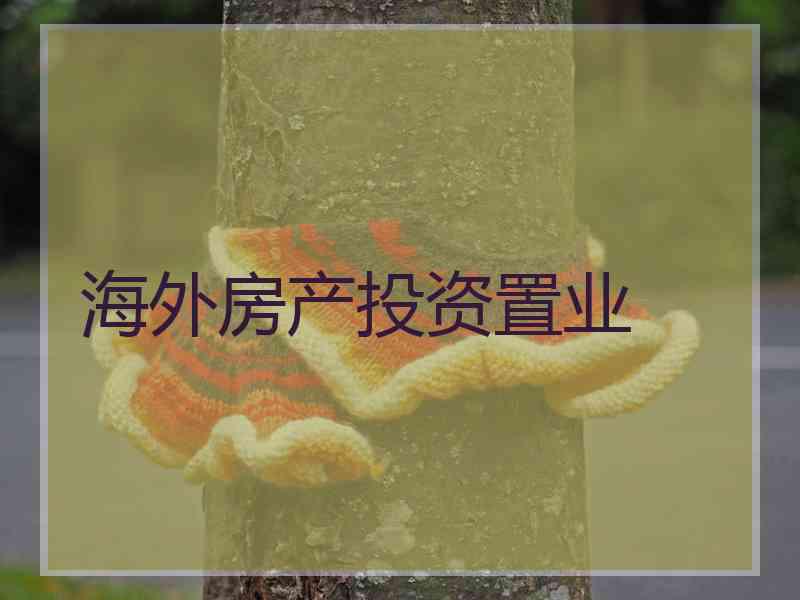 海外房产投资置业