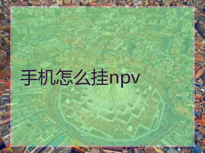 手机怎么挂npv