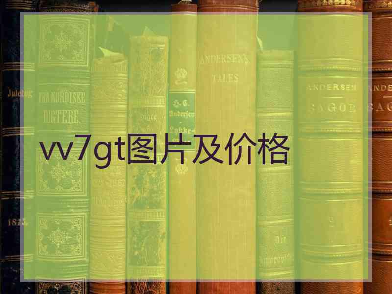 vv7gt图片及价格