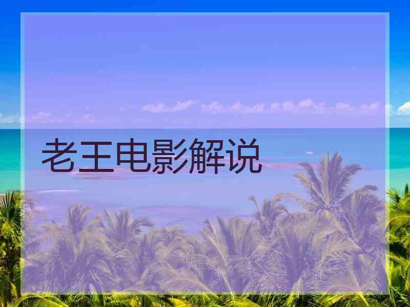 老王电影解说