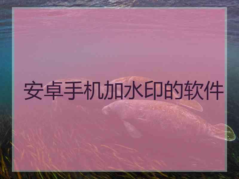 安卓手机加水印的软件
