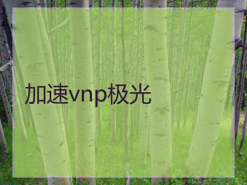 加速vnp极光