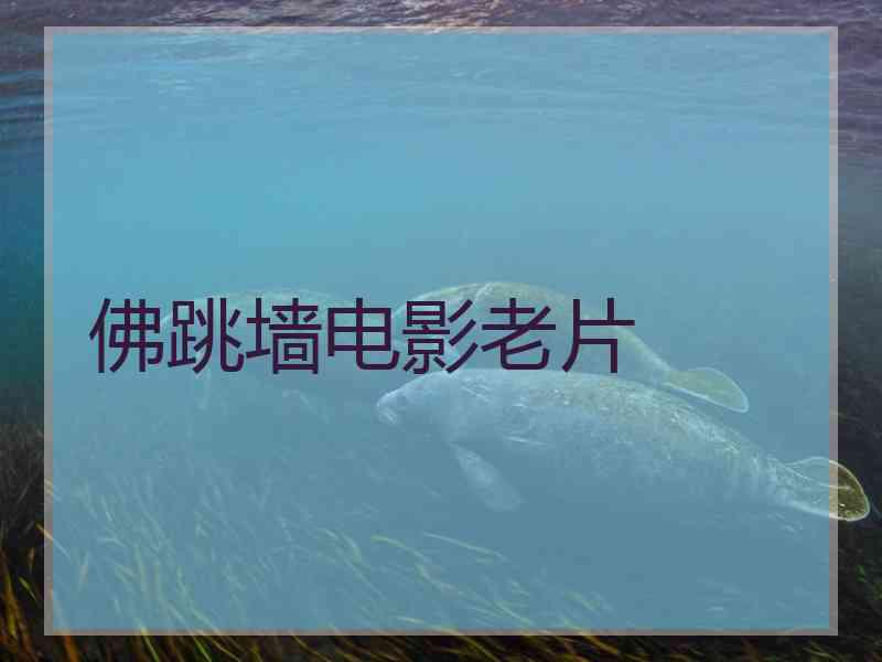 佛跳墙电影老片