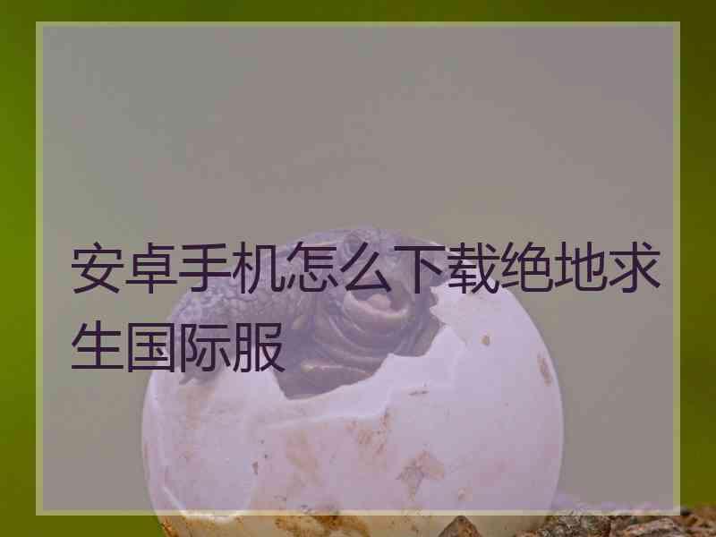 安卓手机怎么下载绝地求生国际服