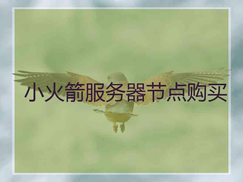 小火箭服务器节点购买