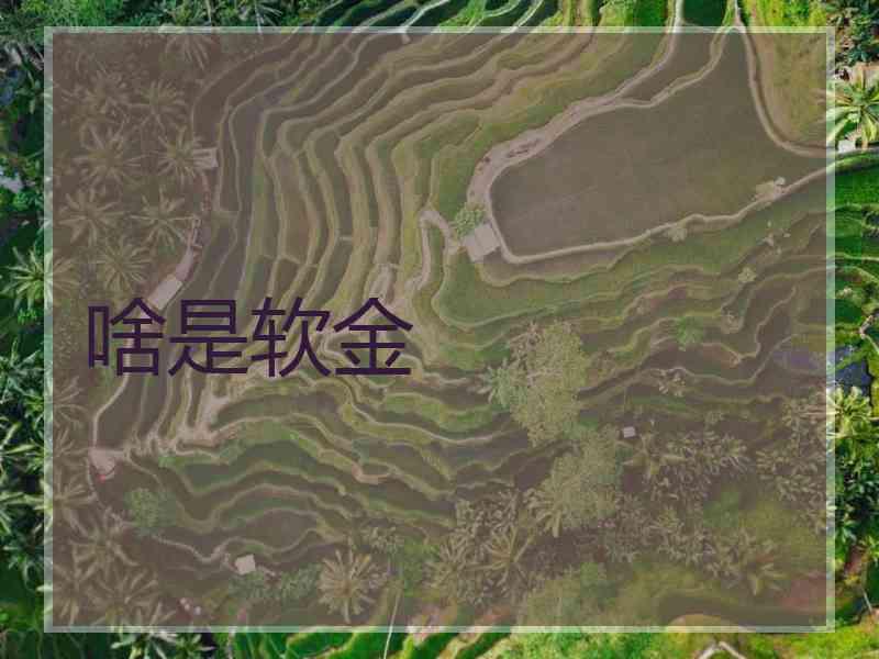 啥是软金