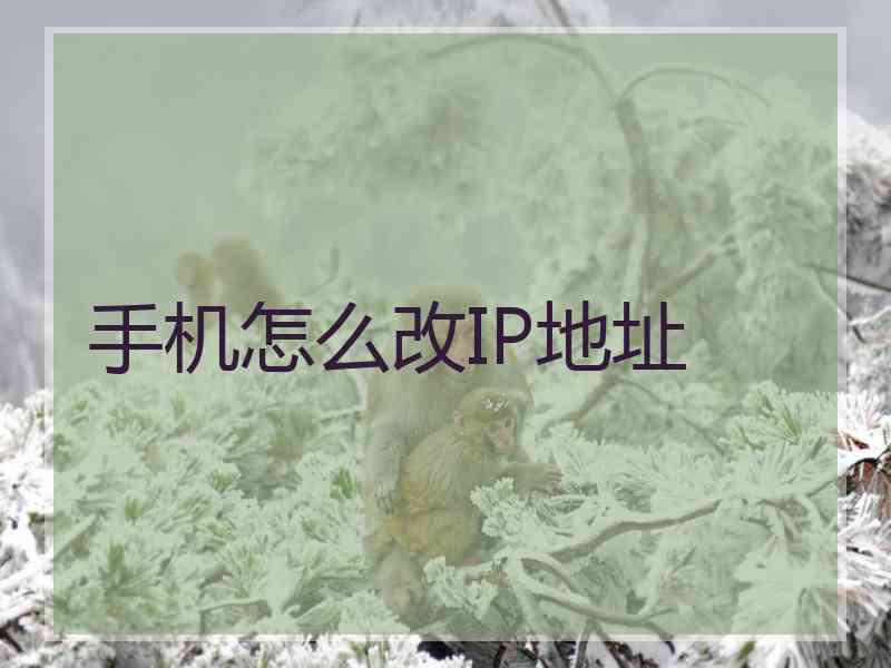 手机怎么改IP地址