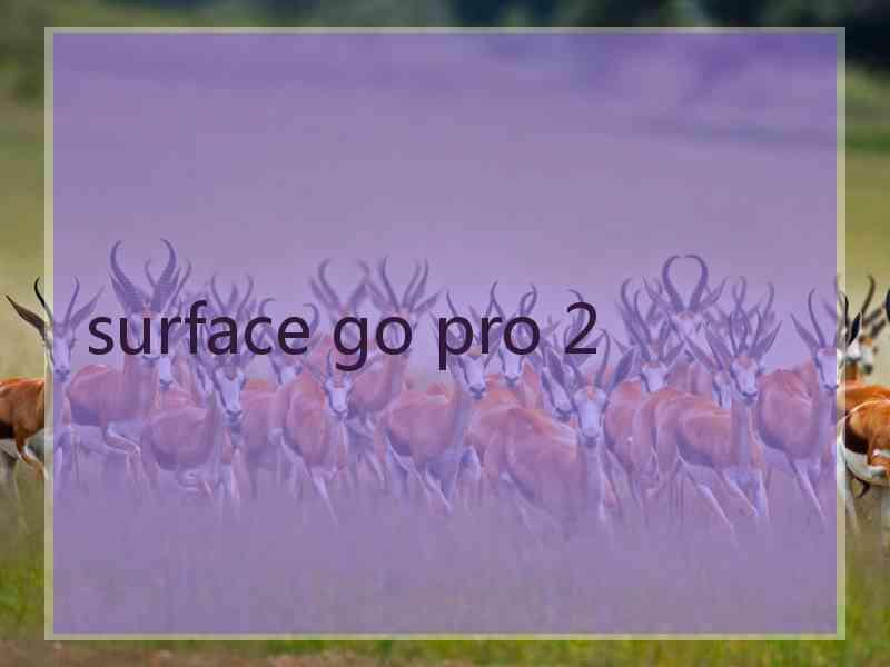 surface go pro 2