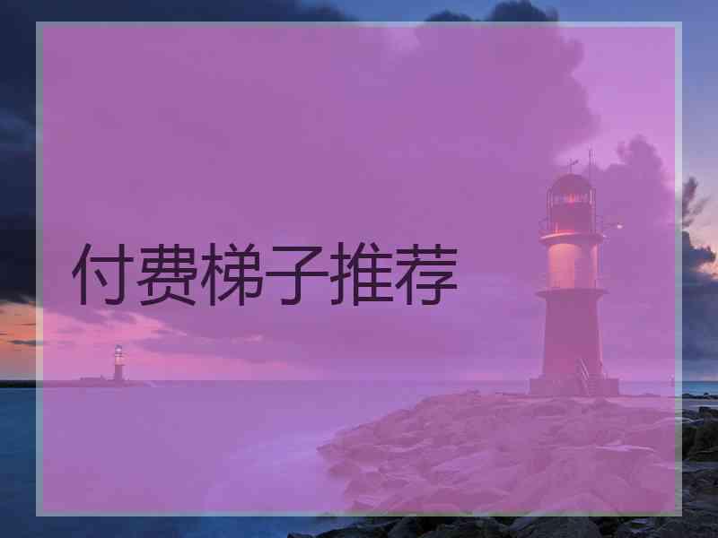 付费梯子推荐