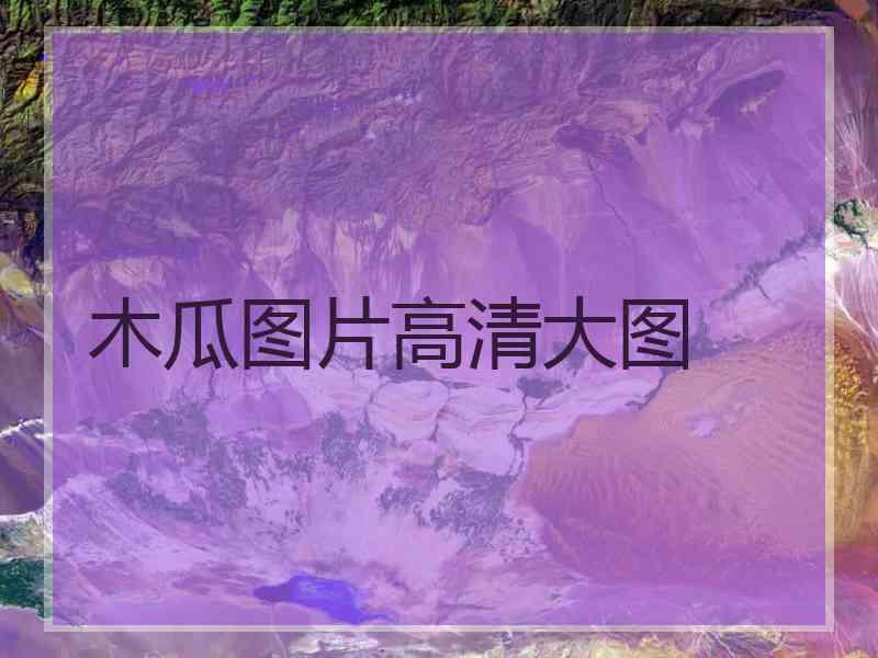 木瓜图片高清大图