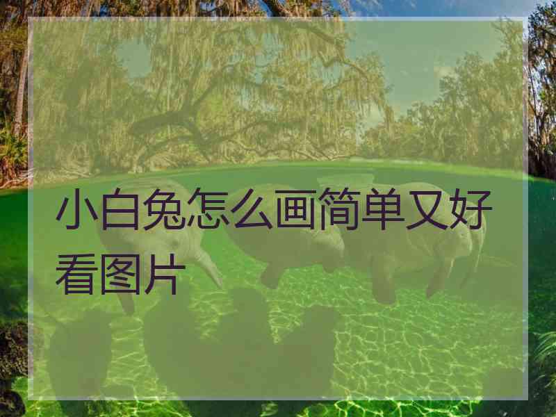 小白兔怎么画简单又好看图片