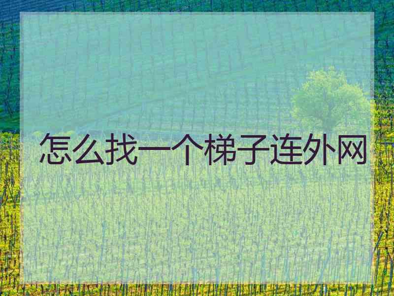 怎么找一个梯子连外网