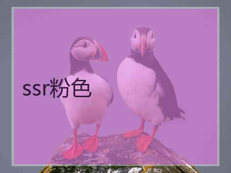 ssr粉色