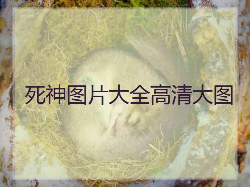 死神图片大全高清大图