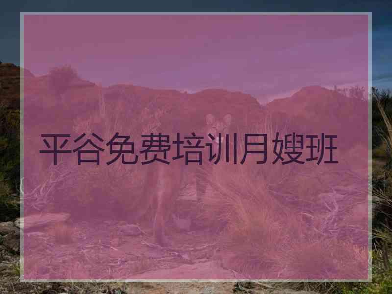 平谷免费培训月嫂班